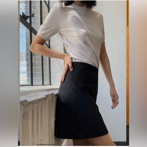 Aritzia Babaton Faux Suede Modern Mini Skirt